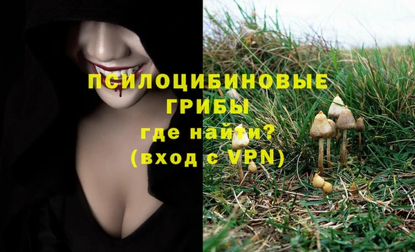 а пвп мука Лиски