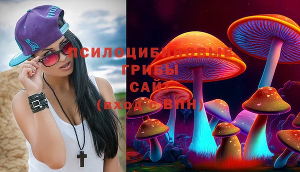 а пвп мука Лиски