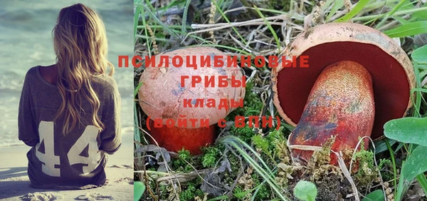 твердый Липки