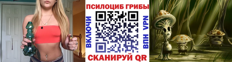 Галлюциногенные грибы Psilocybine cubensis  Купить где  Ейск 